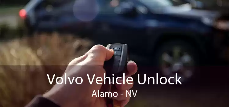 Volvo Vehicle Unlock Alamo - NV