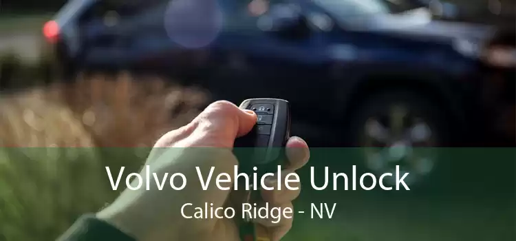 Volvo Vehicle Unlock Calico Ridge - NV