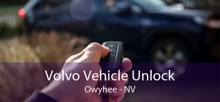 Volvo Vehicle Unlock Owyhee - NV